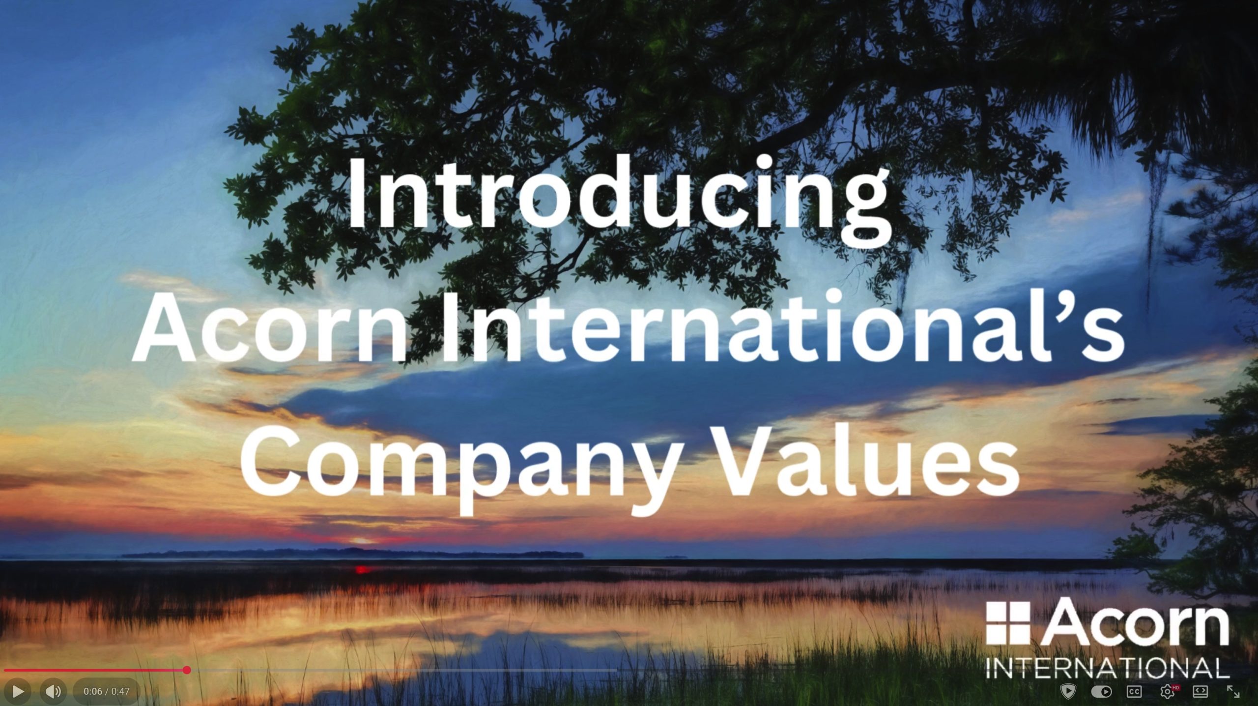 Introducing Acorn International’s Company Values - Acorn International